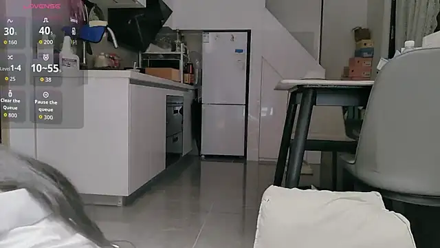 diandian-866 online show from 02-12-26, 03:23