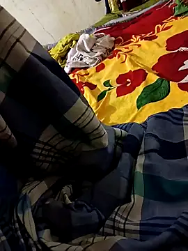 biharihot online show from 12-29-24, 02:10