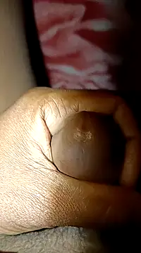 biharihot online show from 01-12-25, 05:44