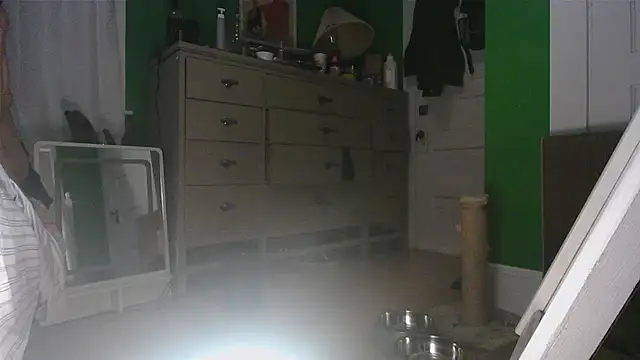 SadCatDaddy online show from 04-24-26, 04:15