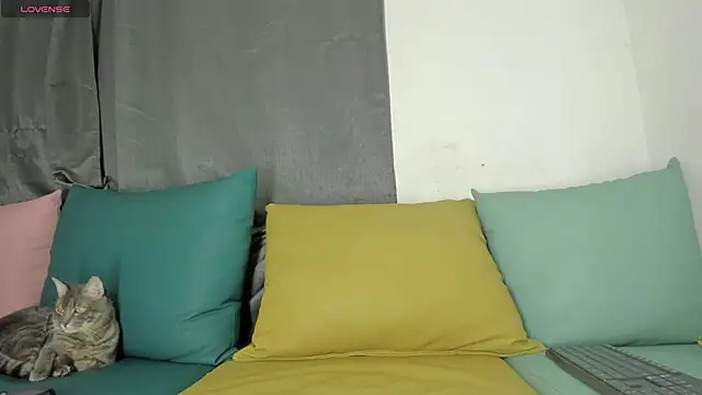 maison sofia1 online show from 01-07-25, 03:46