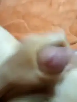 mmarvis za78 93 21cm online show from 01-25-25, 08:21