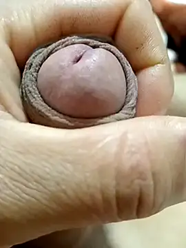 mmarvis za78 93 21cm online show from 02-23-25, 03:24