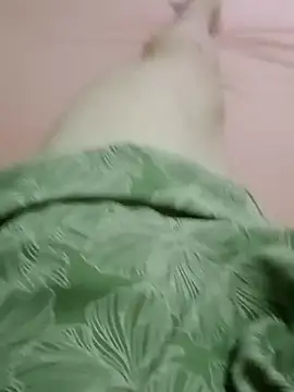 Snapshot of curtindo-muito82 chatting on 02-11-26, 12:26 curtindo-muito82 online show from 02-11-26, 12:26