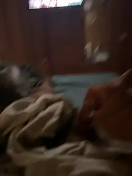 Snapshot of ferdi190 chatting on 10-11-25, 10:58 ferdi190 online show from 10-11-25, 10:58