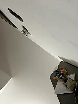 Snapshot of ilmaestoso chatting on 02-21-25, 07:23 ilmaestoso online show from 02-21-25, 07:23