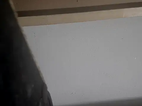 Snapshot of filthymind619 chatting on 01-16-25, 05:00 filthymind619 online show from 01-16-25, 05:00