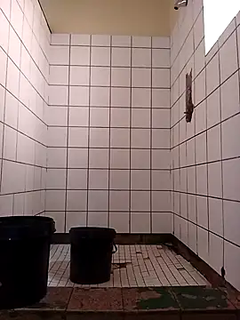 Dube501 online show from 11-17-25, 05:46