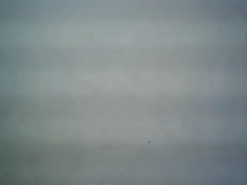 michel1520 online show from 07-16-26, 11:27