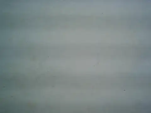 michel1520 online show from 07-20-26, 11:34