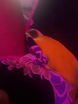 Lilymoonshow online show from 03-17-25, 07:02