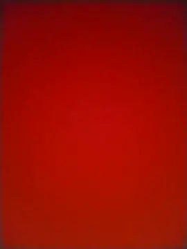 HarolddXL online show from 04-02-26, 05:21