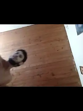 nxus77 online show from 12-15-25, 06:39