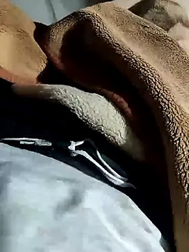 Raja gamer online show from 01-11-25, 03:31