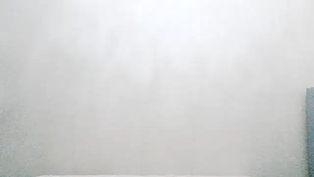 vnhfds online show from 01-22-25, 02:56