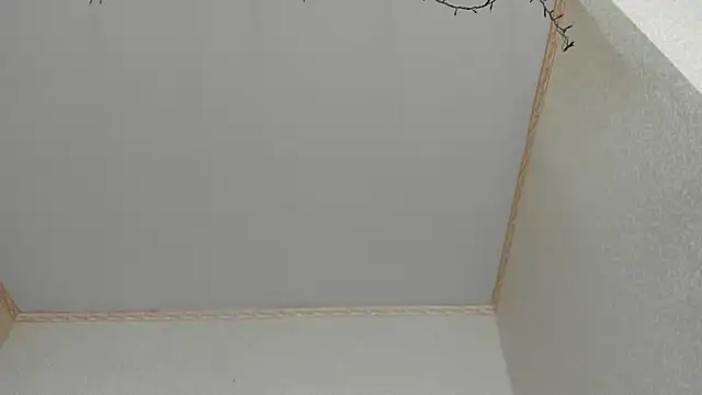 Snapshot of Browni_Kiss chatting on 01-16-25, 07:49 Browni Kiss online show from 01-16-25, 07:49