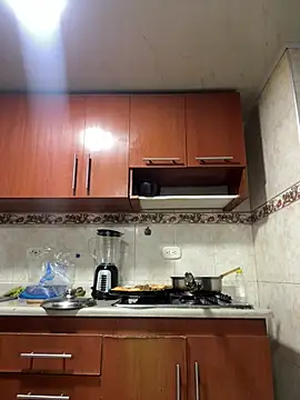 Snapshot of MARIELSINS_AND_DAIKIJACK chatting on 02-15-25, 12:37 MARIELSINS AND DAIKIJACK online show from 02-15-25, 12:37