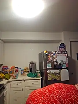 CorgiGodez98 online show from 04-12-26, 02:38