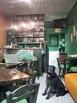 ilonna2025 online show from 03-15-26, 11:33