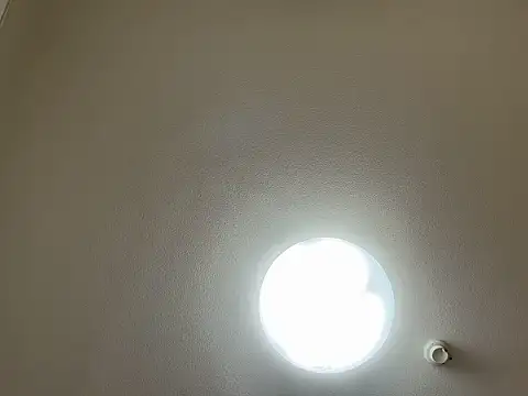 riri riri jp online show from 03-31-26, 11:43