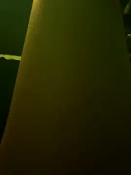 Snapshot of DanteAndKyle chatting on 01-25-25, 04:13 DanteAndKyle online show from 01-25-25, 04:13