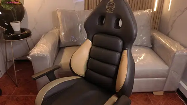 Kitten Cam online show from 02-20-26, 03:36