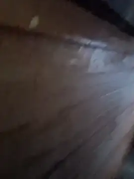 Raj41 online show from 01-06-26, 12:58