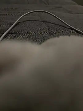 hengst2312 online show from 01-20-25, 06:10