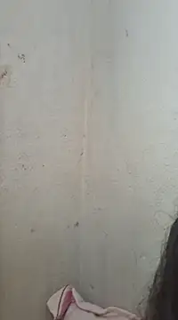 novinhatransexy online show from 02-11-25, 06:01