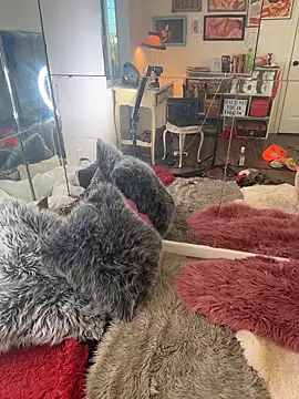 I am babydoll online show from 03-04-26, 12:49