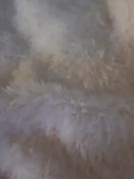 feketedemon36 online show from 01-25-25, 04:57