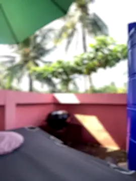 White Lu online show from 09-25-25, 02:04