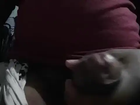 lolboy1234Z online show from 01-23-25, 03:54