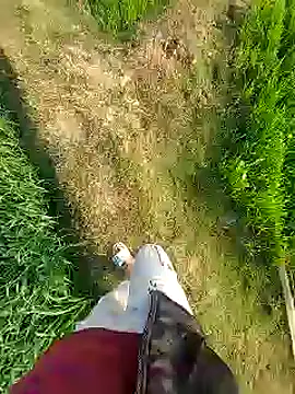 Extrembox5 online show from 01-26-25, 03:17