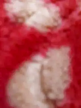 Snapshot of mhmia chatting on 02-08-25, 05:29 mhmia online show from 02-08-25, 05:29