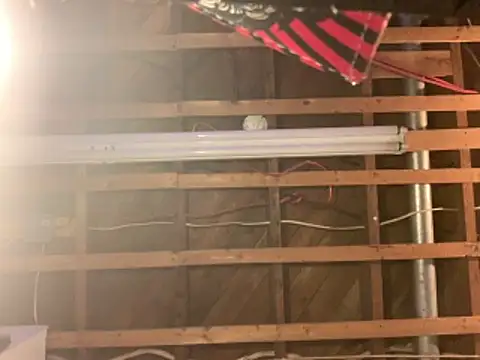 Pilote19 online show from 04-23-26, 07:16