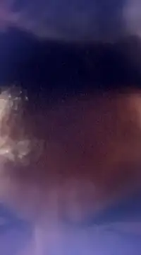 Snapshot of randit7 chatting on 01-24-25, 12:52 randit7 online show from 01-24-25, 12:52