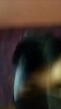 Snapshot of randit7 chatting on 01-27-25, 02:42 randit7 online show from 01-27-25, 02:42