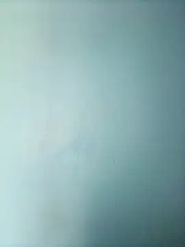 Snapshot of randit7 chatting on 03-01-25, 06:35 randit7 online show from 03-01-25, 06:35