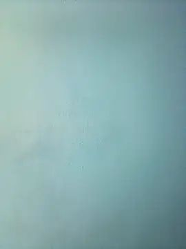 Snapshot of randit7 chatting on 03-12-25, 11:53 randit7 online show from 03-12-25, 11:53