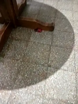 Snapshot of parejarica420 chatting on 03-06-26, 08:38 parejarica420 online show from 03-06-26, 08:38