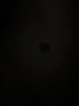 Boneca25 online show from 02-05-26, 08:30