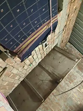 birds0641 online show from 06-12-26, 07:57