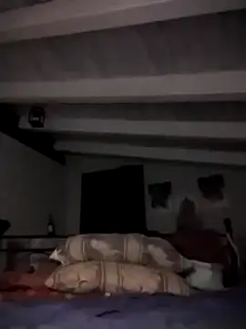 divinaerotica online show from 11-02-25, 05:48