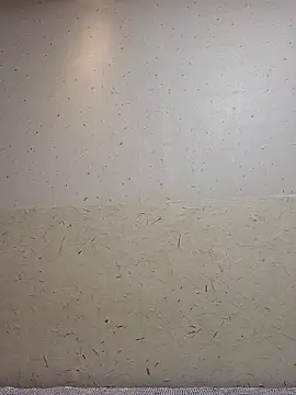 Tyyyggjju online show from 10-20-25, 07:03