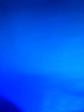 wadmma online show from 02-21-26, 11:39