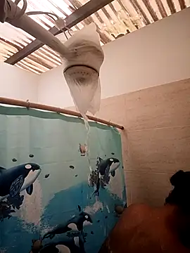 Zaira Rose  online show from 02-24-26, 01:09