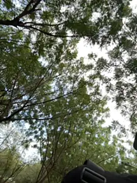 arevalo1124 online show from 12-02-25, 09:10