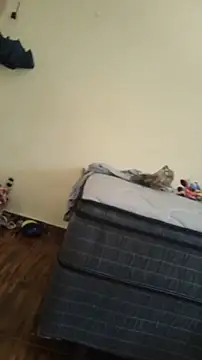 JapeDoBryan online show from 05-16-26, 06:28