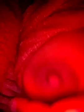 bestfriend-shikha online show from 02-05-25, 09:18